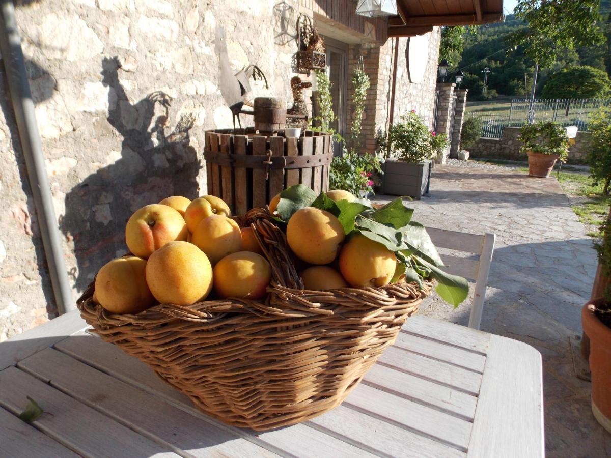 B&B Nonna Rosa Norcia Exterior photo
