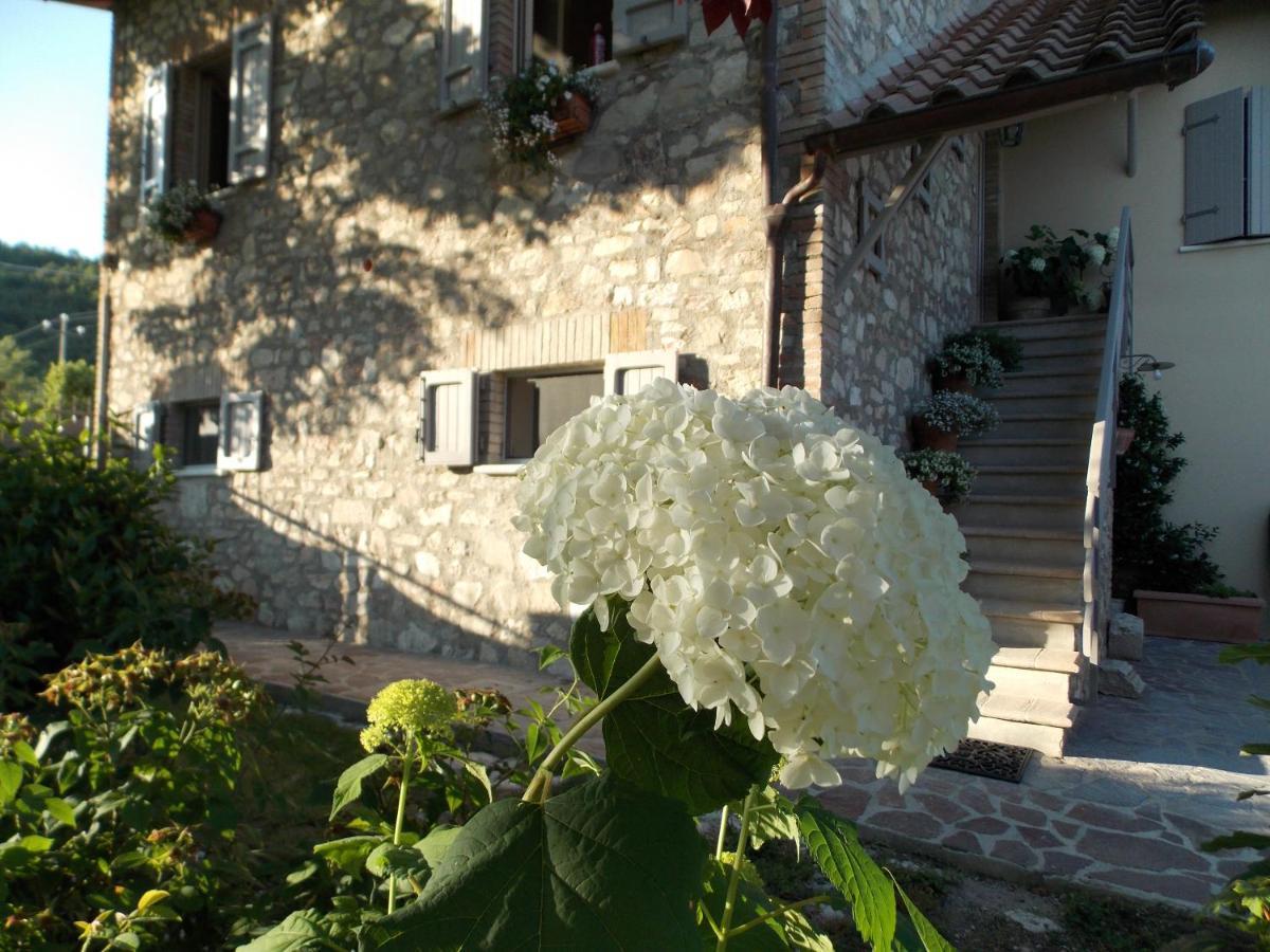 B&B Nonna Rosa Norcia Exterior photo